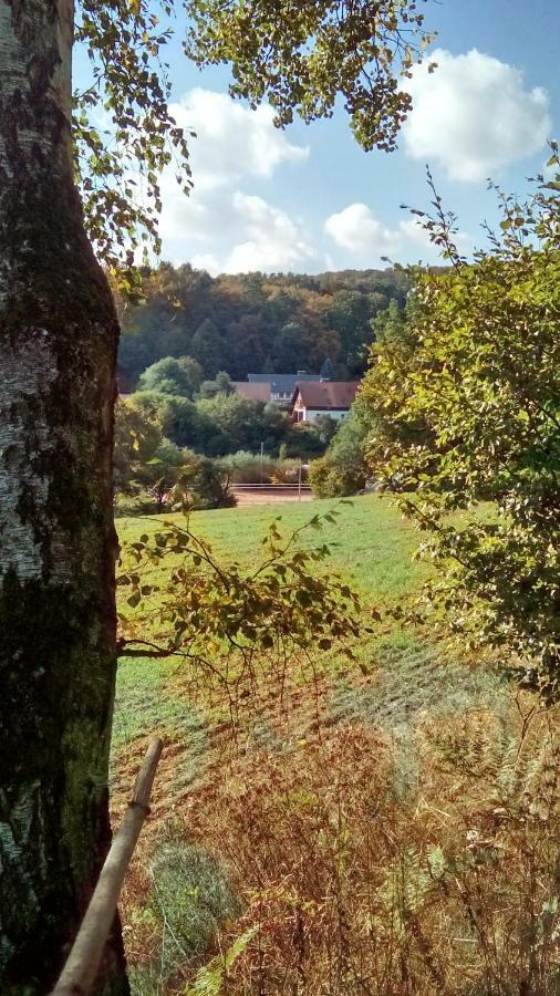 Apartment Mit Gartenblick Eckersdorf المظهر الخارجي الصورة