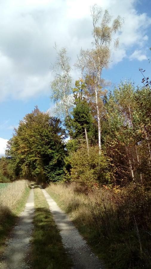 Apartment Mit Gartenblick Eckersdorf المظهر الخارجي الصورة