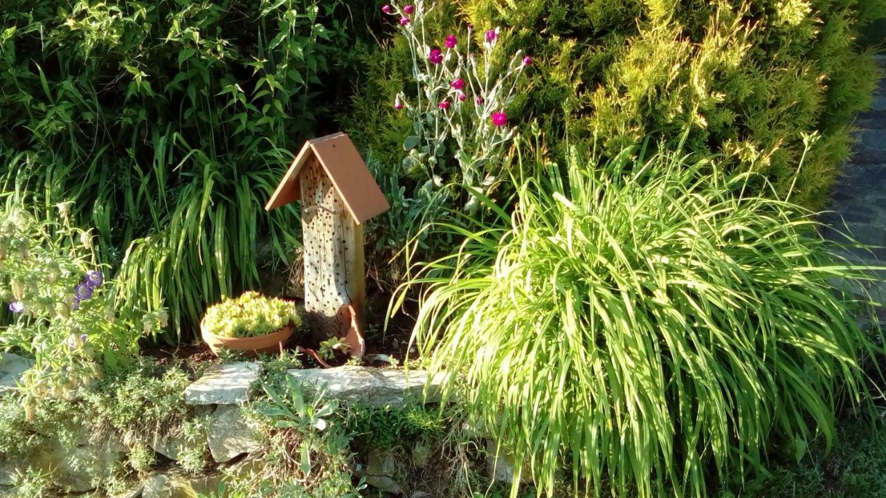 Apartment Mit Gartenblick Eckersdorf المظهر الخارجي الصورة