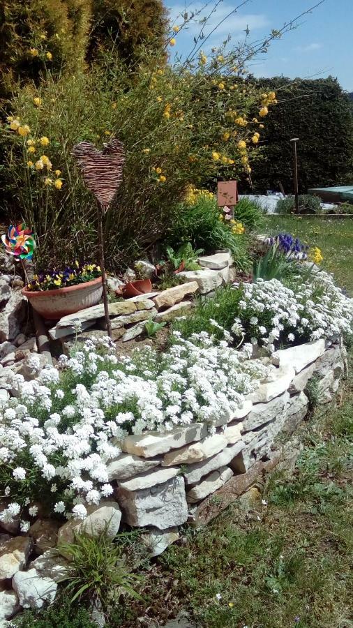 Apartment Mit Gartenblick Eckersdorf المظهر الخارجي الصورة