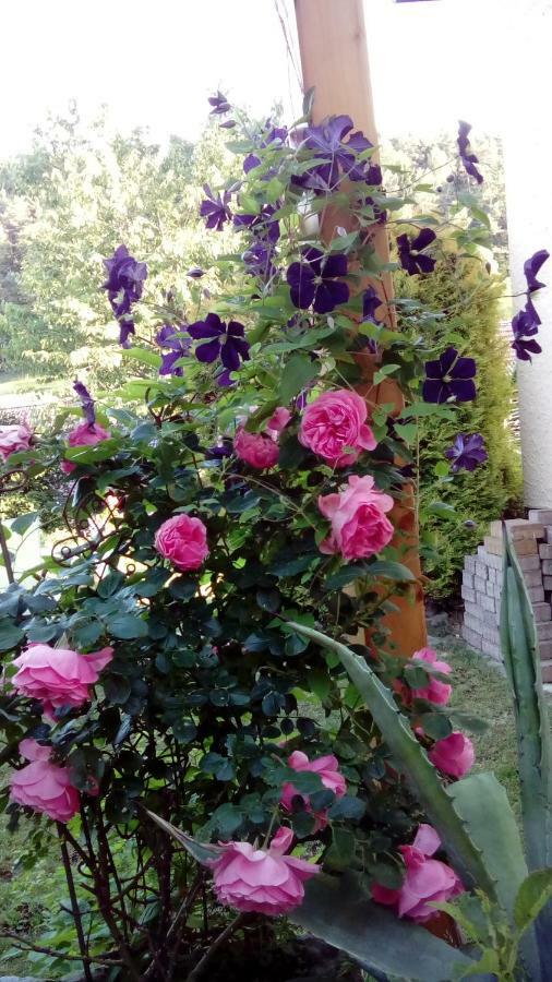 Apartment Mit Gartenblick Eckersdorf المظهر الخارجي الصورة